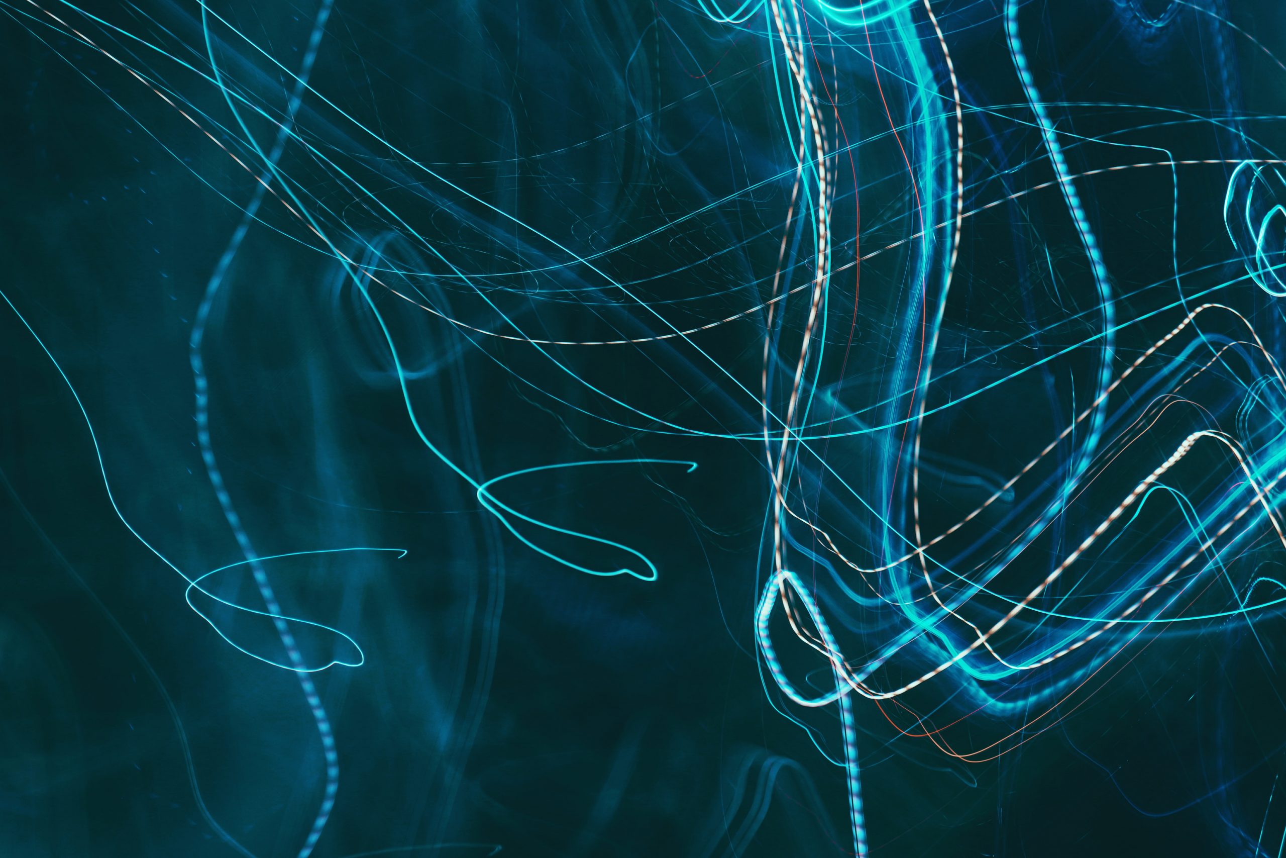 SME FUND also in 2024